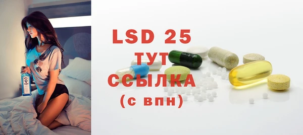spice Аркадак