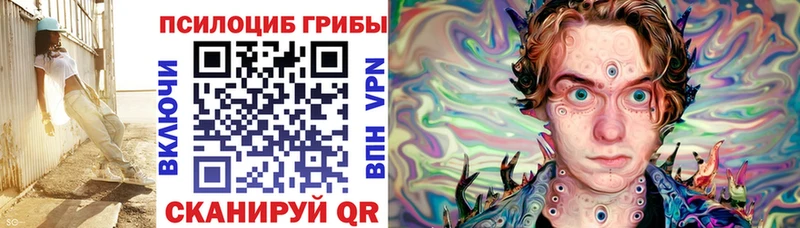 Псилоцибиновые грибы Cubensis  Таруса 
